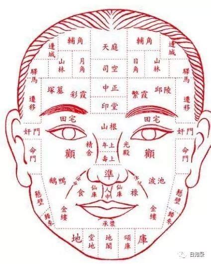 牛眼 面相|牛眼面相图解 牛眼面相好不好